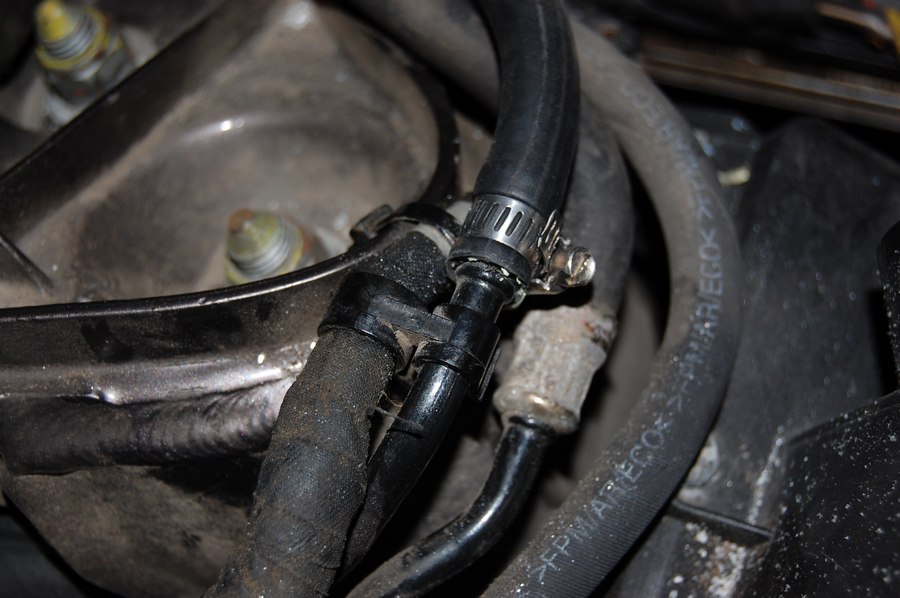 Secured hose clamp